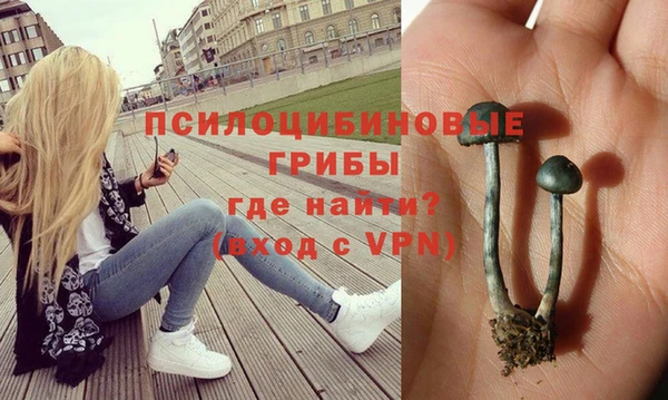 кристаллы Строитель