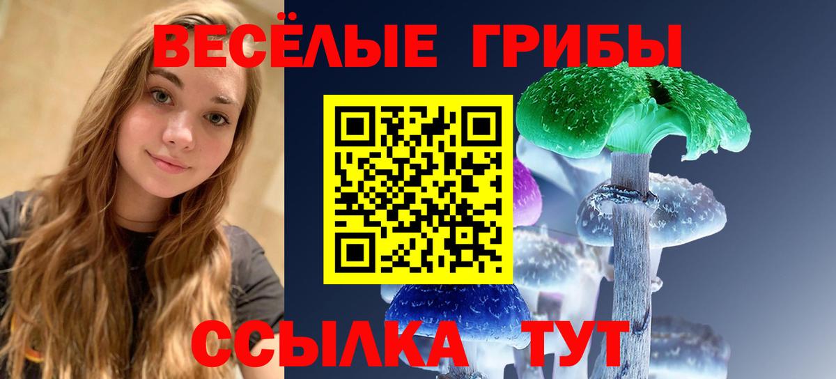 Псилоцибиновые грибы MAGIC MUSHROOMS Новороссийск